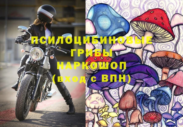 соль курить ск Ладушкин