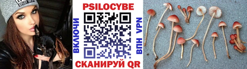 Купить Волоколамск Псилоцибиновые грибы ЛСД